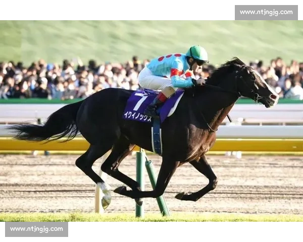 去年今日，32.5 秒定江山！Do Deuce 卫冕秋季天皇赏